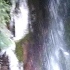 Meet your Posher, Wyvette